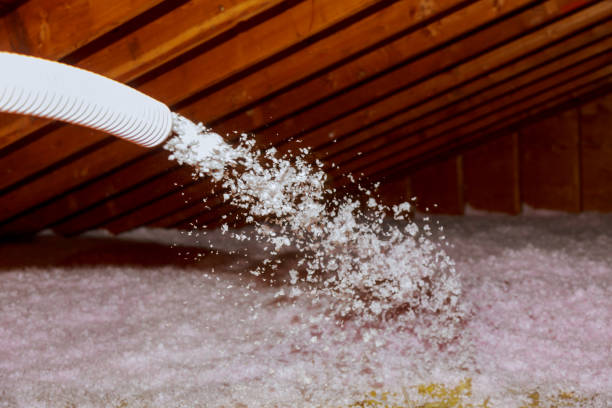 Best Residential Insulation in Lake Placid, FL